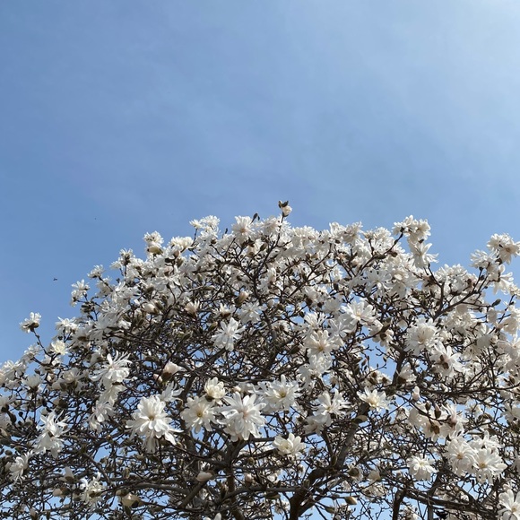 Meet your Posher, N - Picture 1 of 1